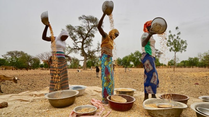 UNION EUROPÉENNE : 4 millions d’euros pour renforcer la résilience des communautés déplacées et hôtes au Burkina Faso, au Niger et au Mali