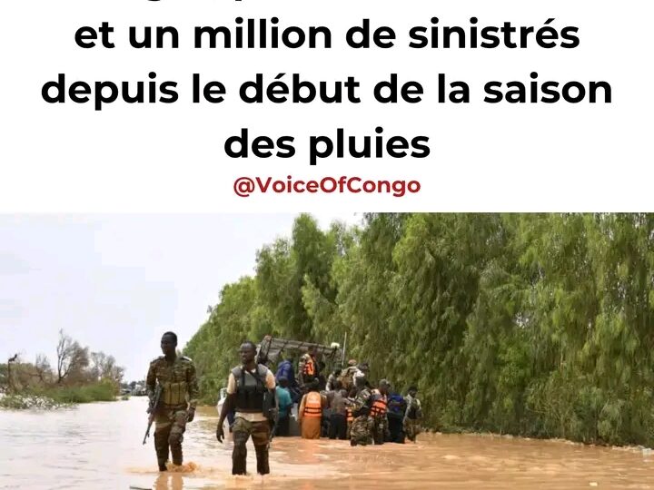 Niger : Plus de 300 m0rts et plus d’un million de sinistrés suite à des inondations, à la date du 23 septembre 2024